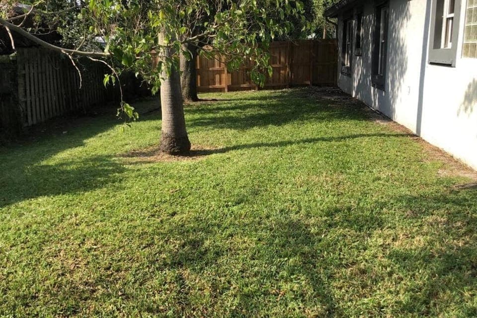 Natural landscape, Garden