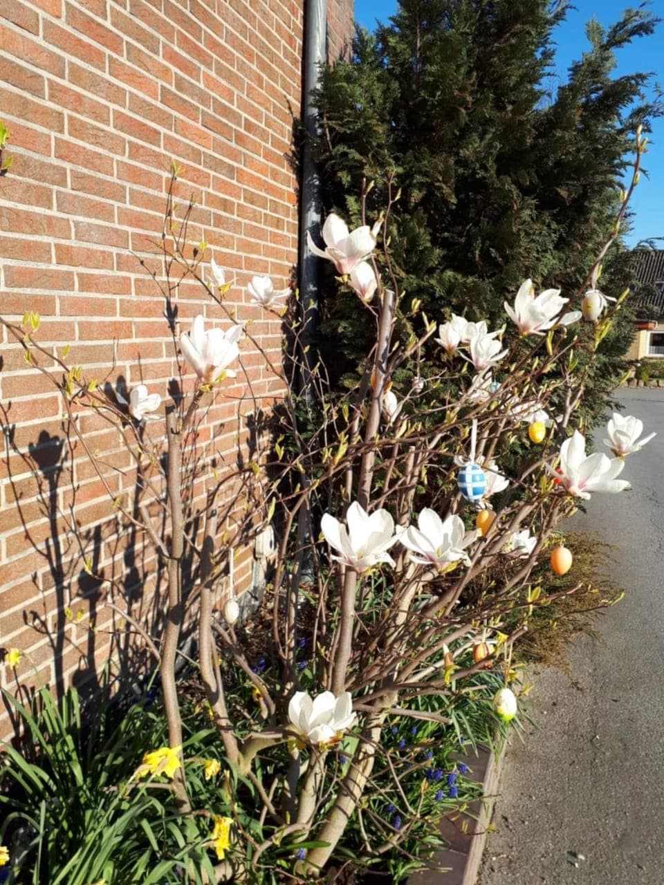 Property building, Garden view