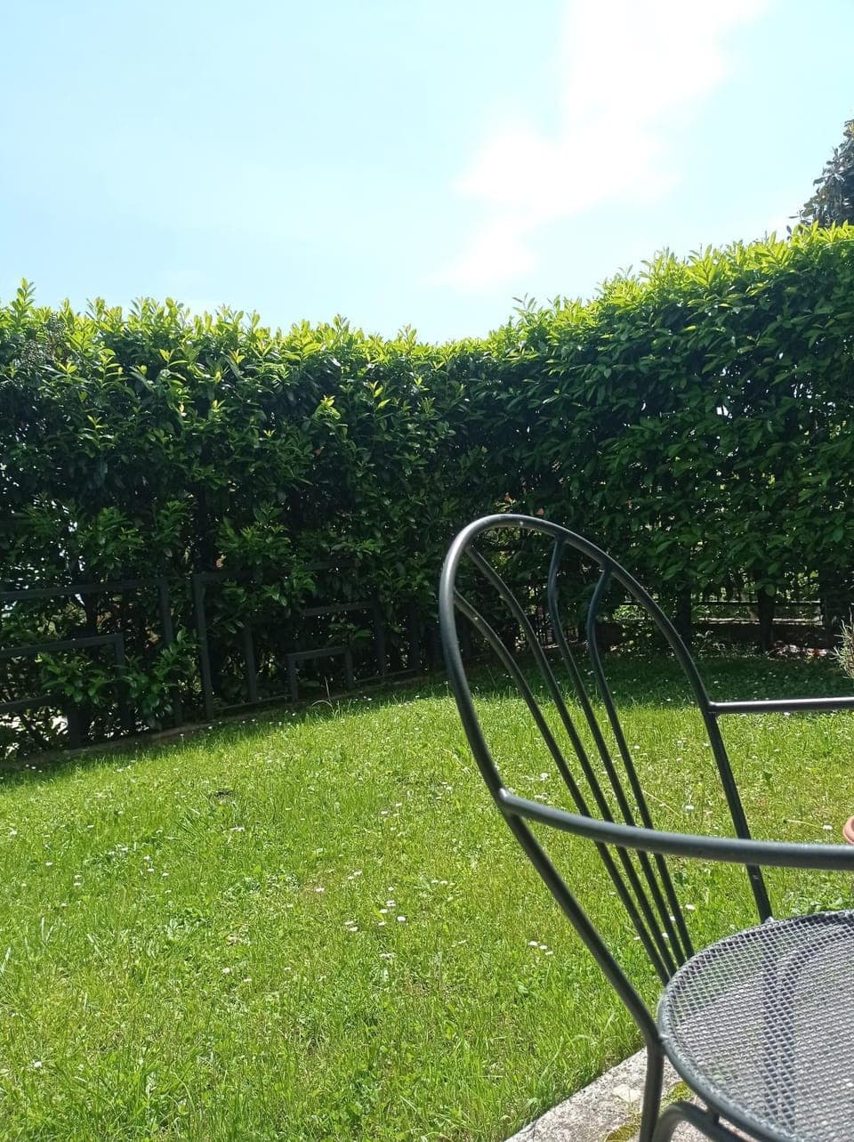 Natural landscape, Garden, Garden view