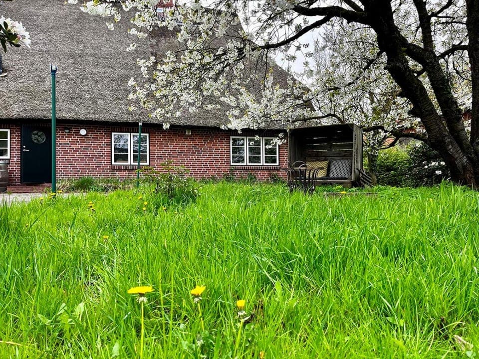Property building, Garden, Garden view