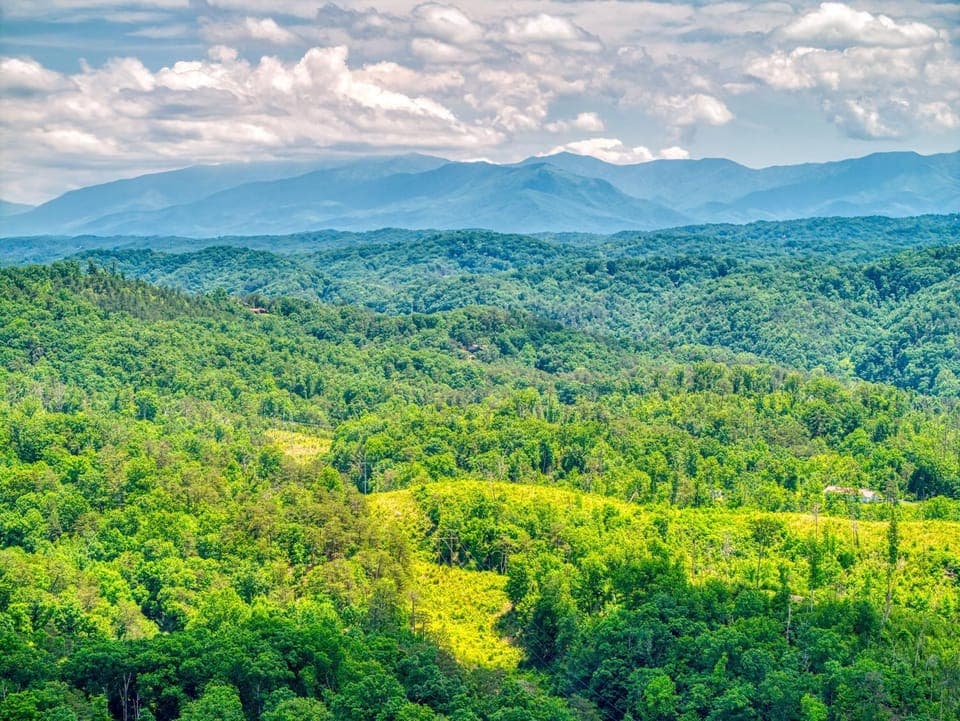 Cozy Bear Hill, Resort indoor Pool, Free Attraction Tickets, WIFI!!! House in Pigeon Forge