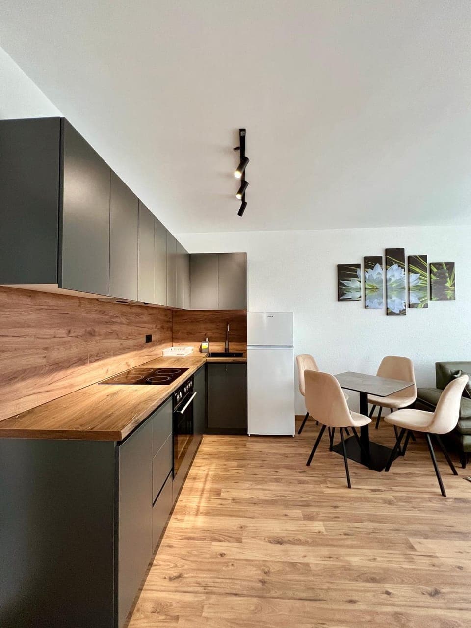 Kitchen or kitchenette, Dining area, stove