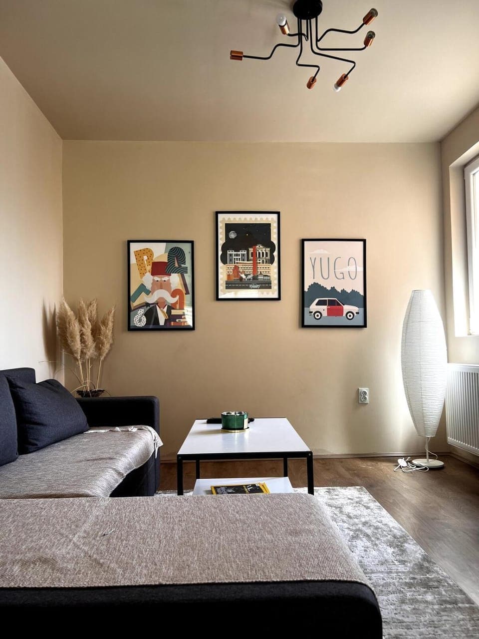 Living room, Photo of the whole room, Seating area