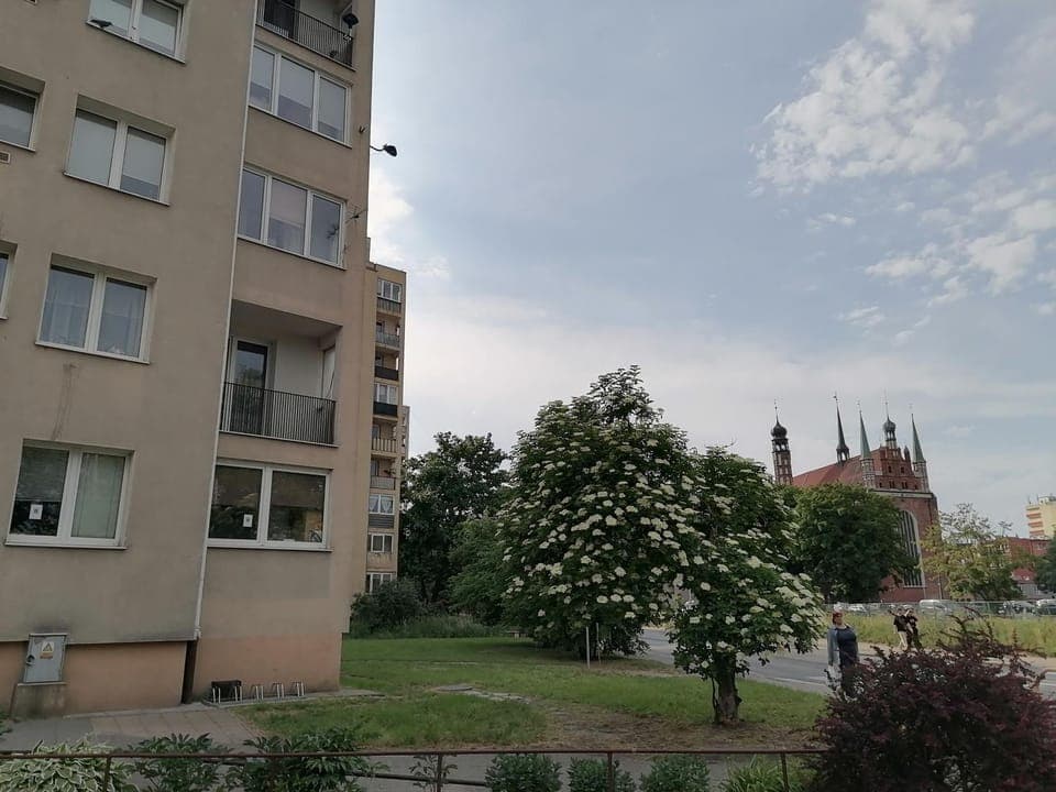 Neighbourhood, Street view