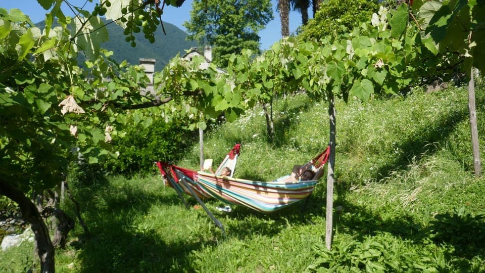 Garden, Garden view