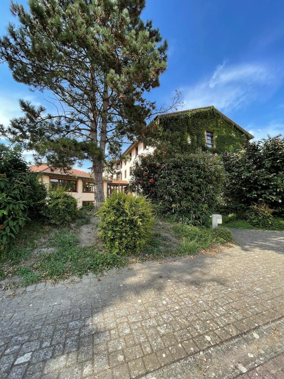 Property building, Garden, Garden view