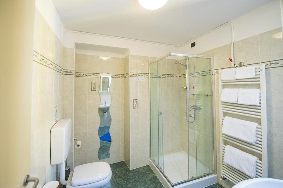 Shower, Toilet, Bathroom, bidet