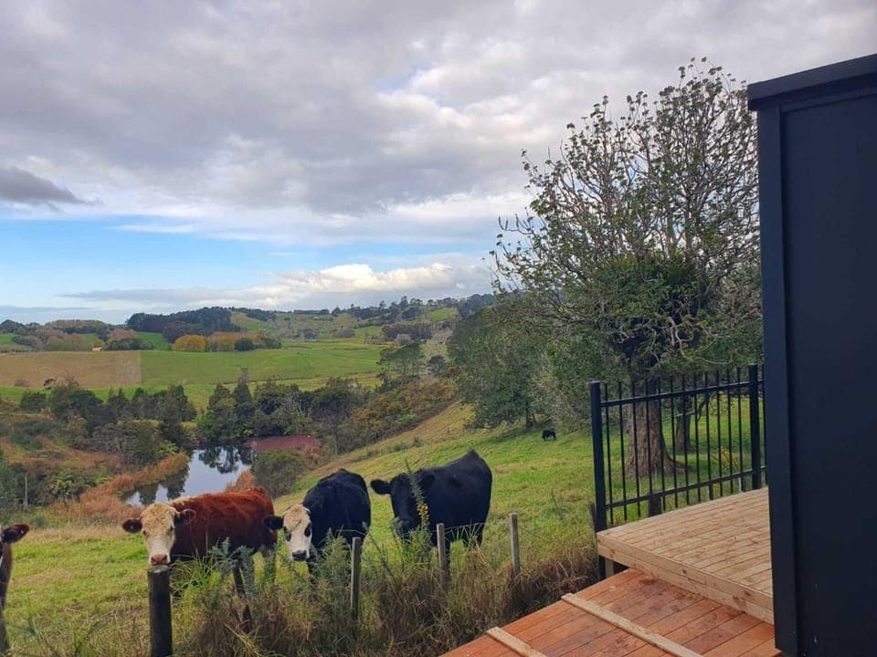 Natural landscape, Animals