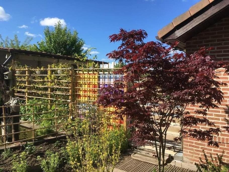 Spring, Garden, Garden view