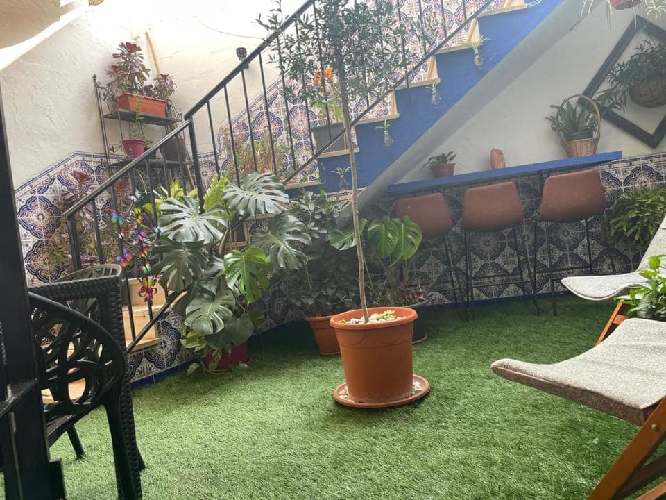 Patio, Patio, Inner courtyard view