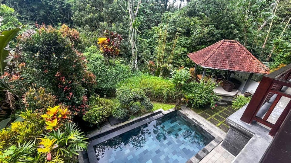 Garden, Garden view, Swimming pool