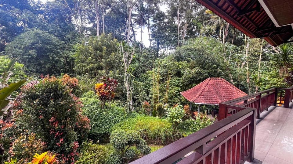 Natural landscape, Garden, Garden view