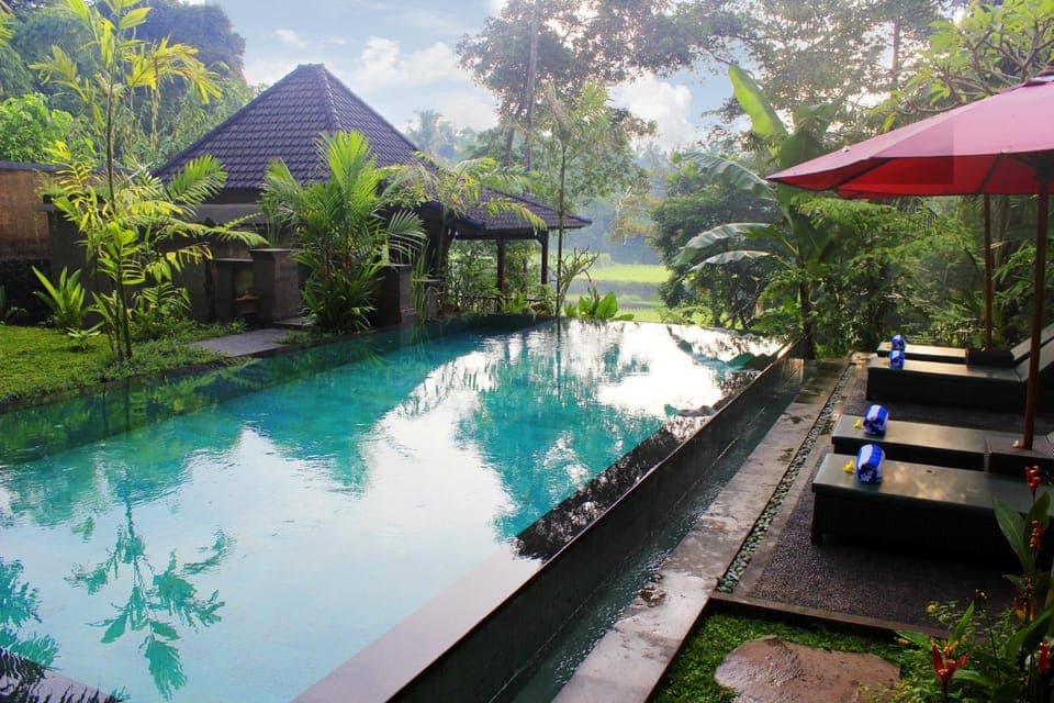 Garden, Pool view, Swimming pool, Swimming pool