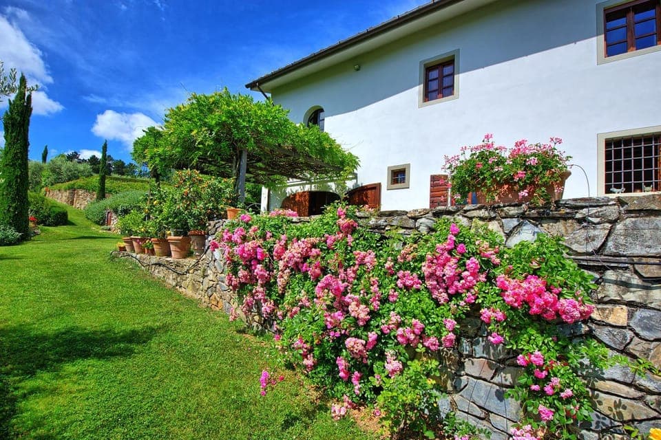 Property building, Garden, Garden view
