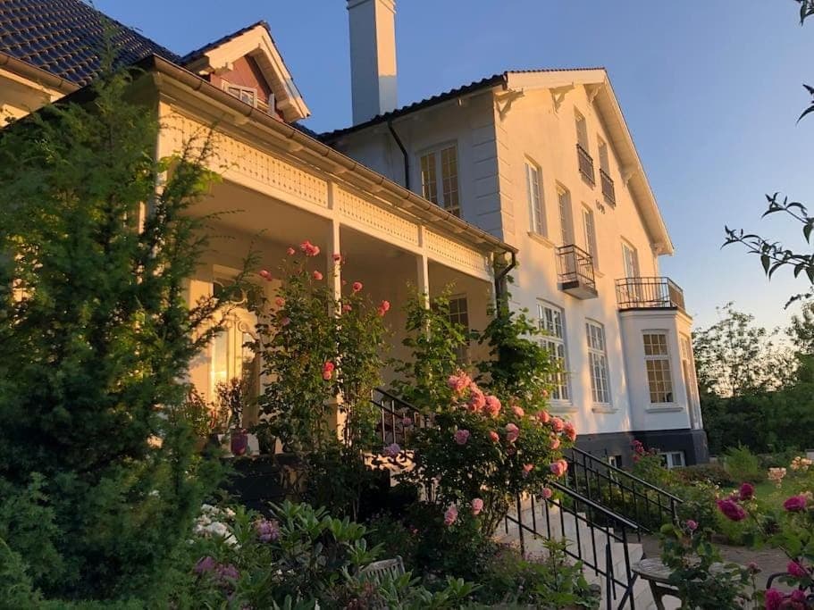 Property building, Spring