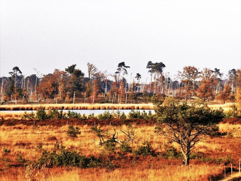 Natural landscape, Hiking, Location