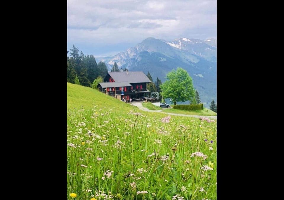 Mountain view