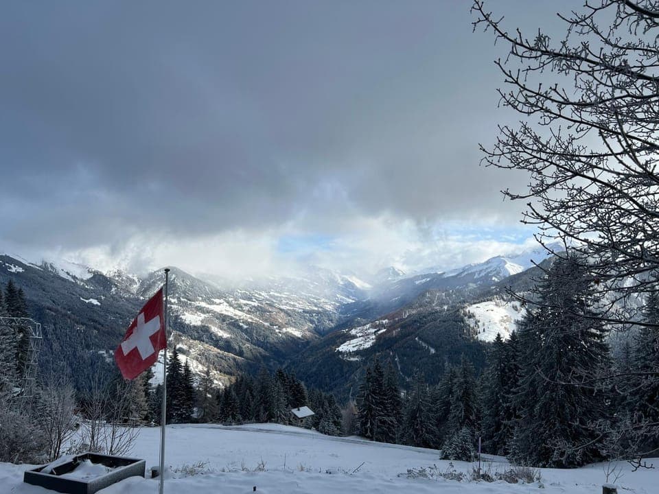 View (from property/room), View (from property/room), pet friendly, pet friendly