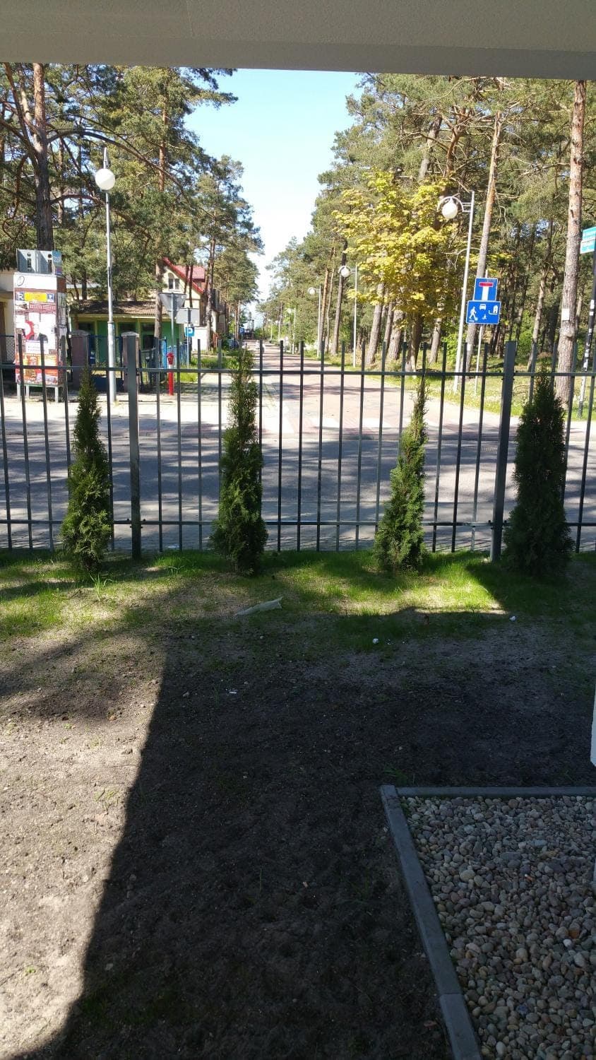 Natural landscape, Garden