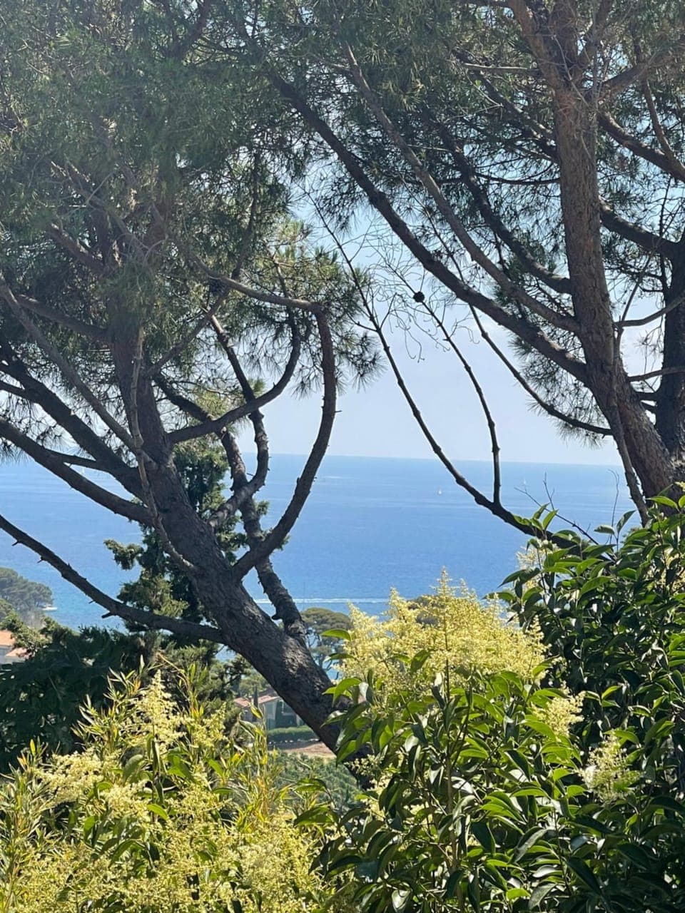 View (from property/room)