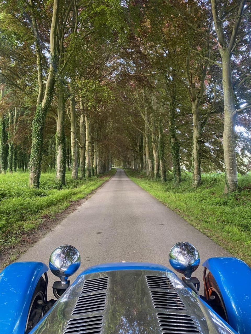 Neighbourhood, Natural landscape