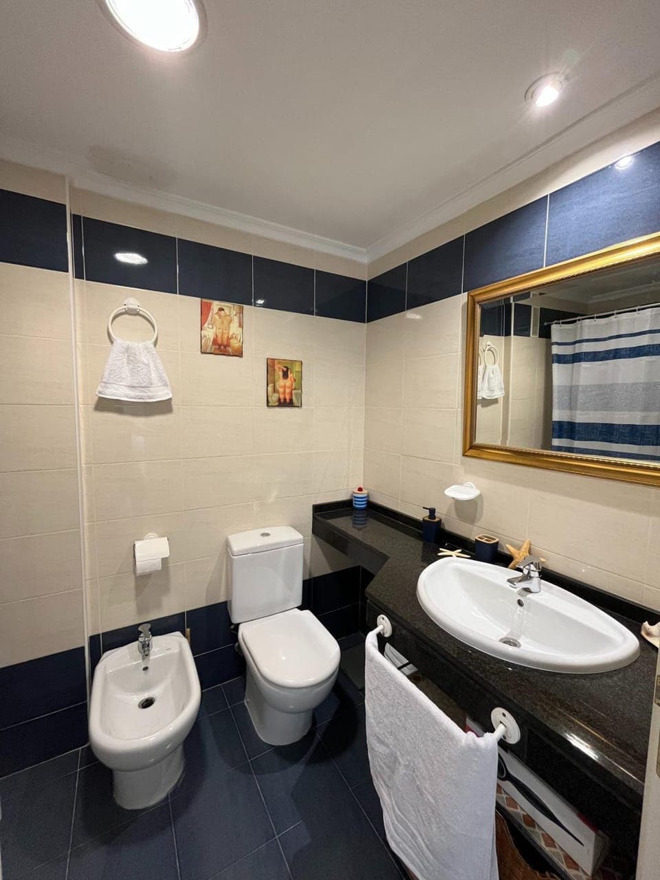 Bathroom, Bath, bidet, hair dryier, towels, towels