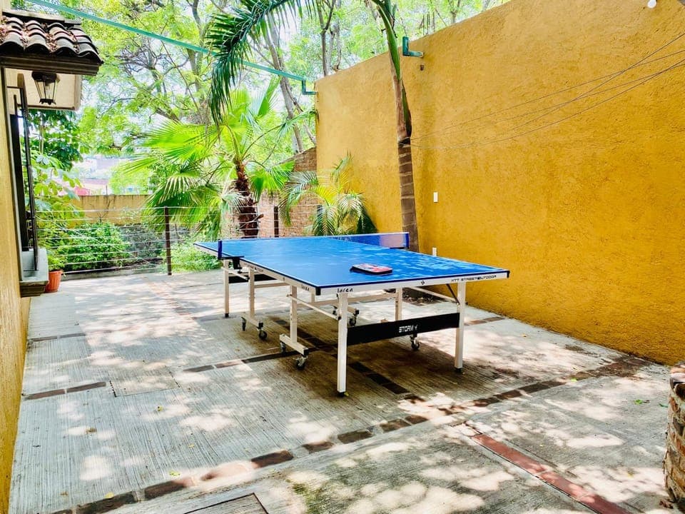 Table tennis, Table tennis