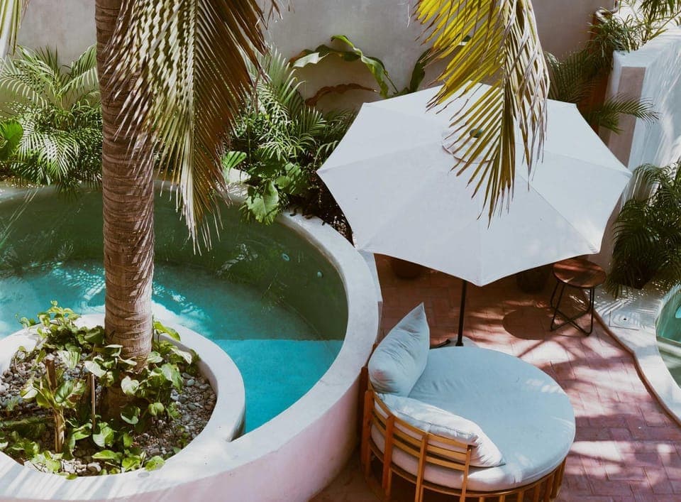 Day, Garden, Garden view, Pool view, Swimming pool, Swimming pool, sunbed