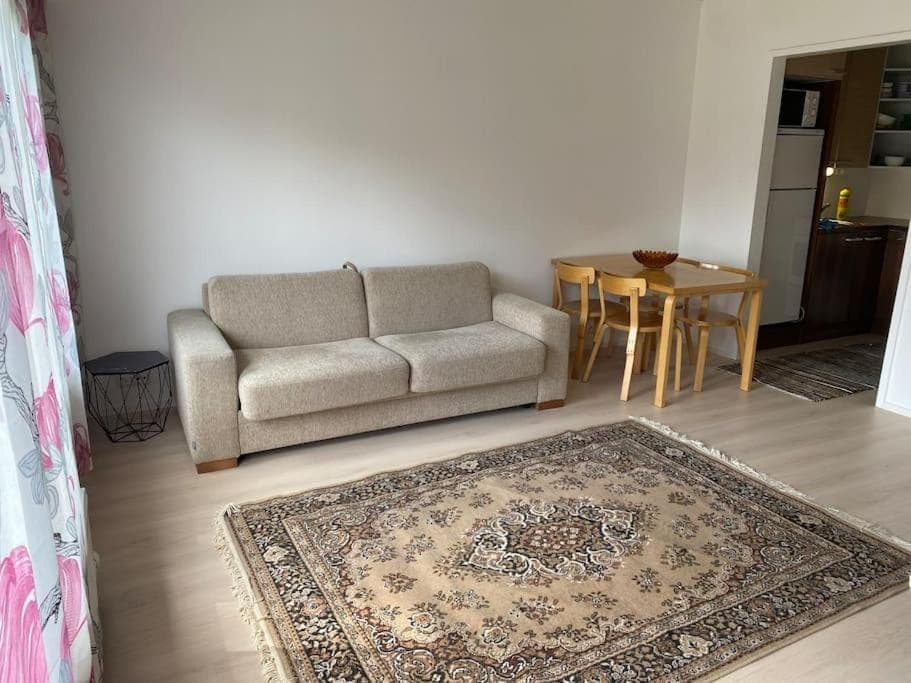 Viihtyisä itsepalvelumajoitus, tilava saunallinen yksiö Apartment in Finland