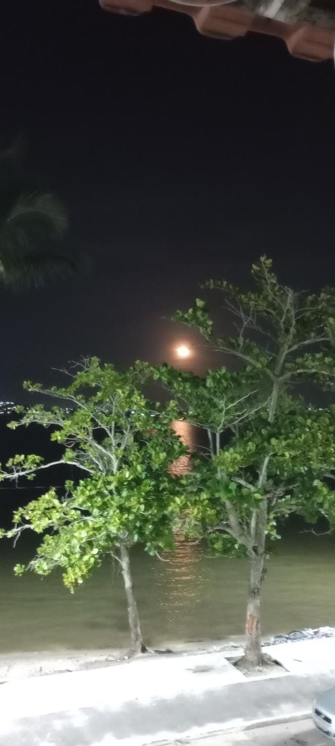 Night, Natural landscape