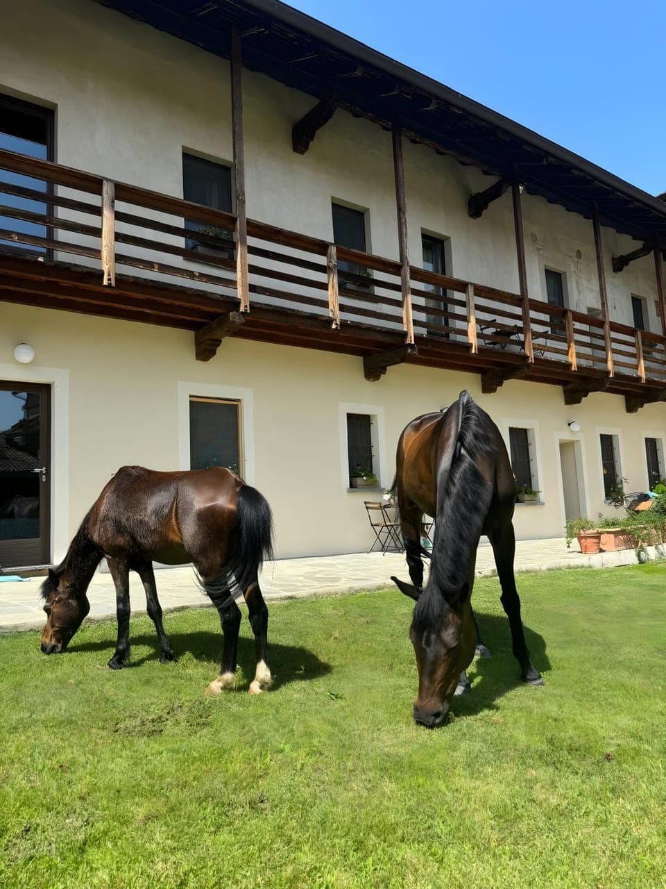 Property building, Living room