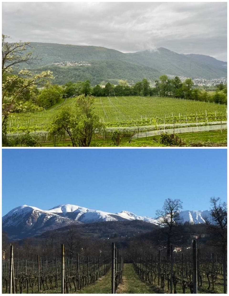 View (from property/room), Mountain view