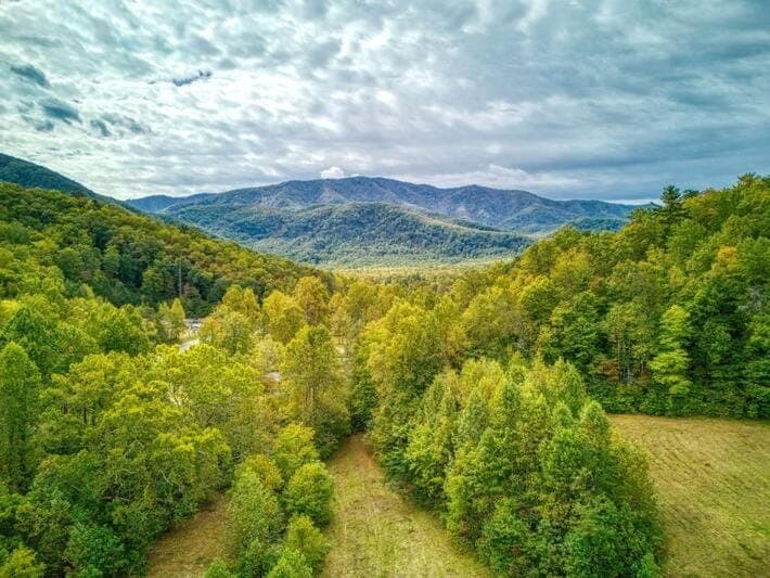 Queens Quarters, Pickleball Court, Creek, WIFI, Mountain Views, Starting at 79" House in Jenkins Mill