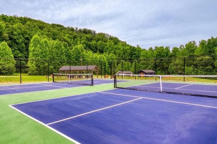 Queens Quarters, Pickleball Court, Creek, WIFI, Mountain Views, Starting at 79" House in Jenkins Mill