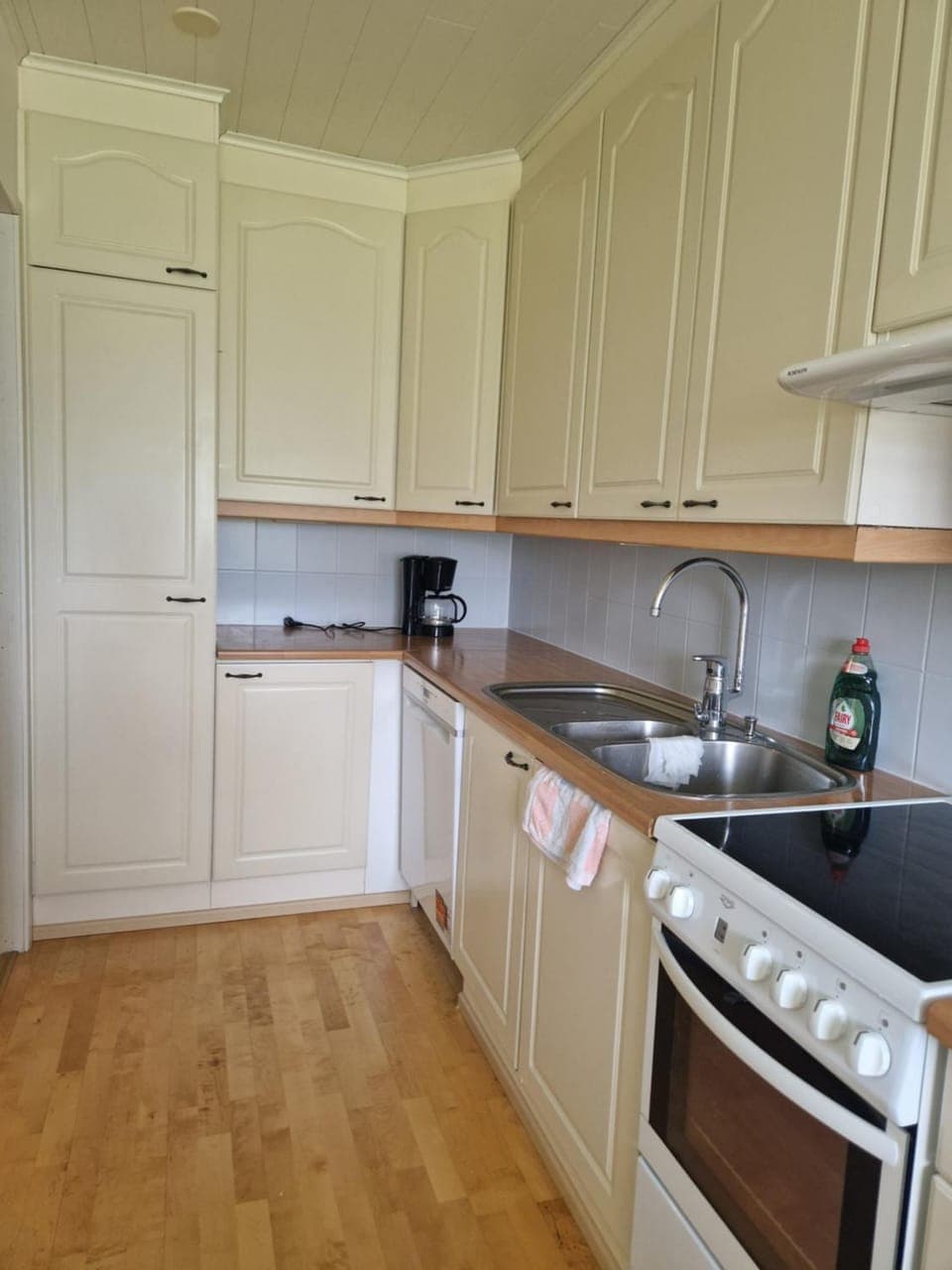 Kitchen or kitchenette, dishwasher, oven