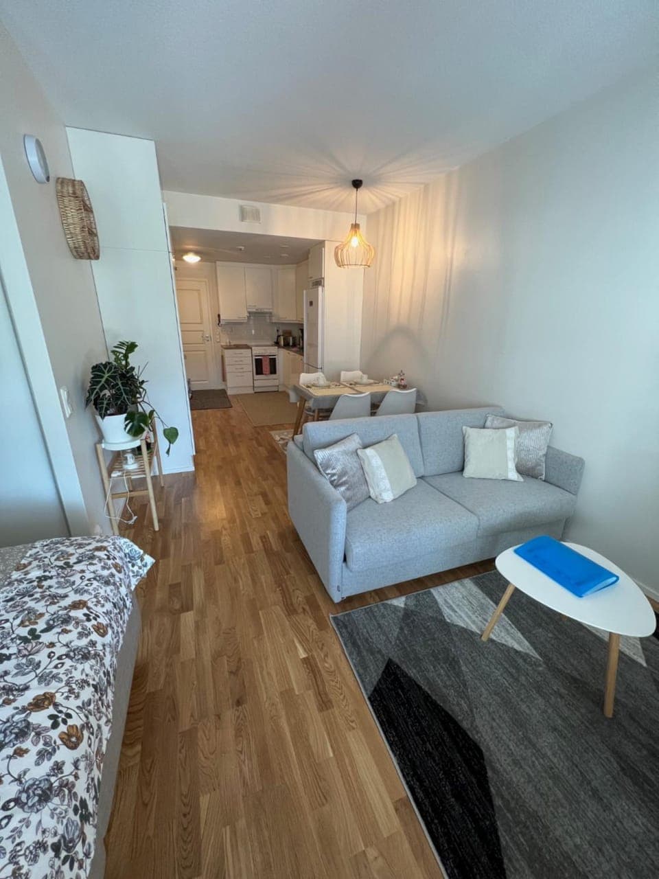 Photo of the whole room