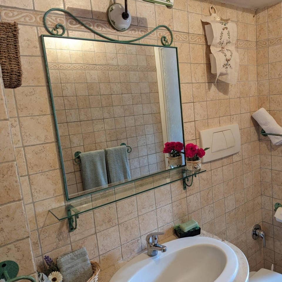 Shower, Toilet, Bathroom, towels