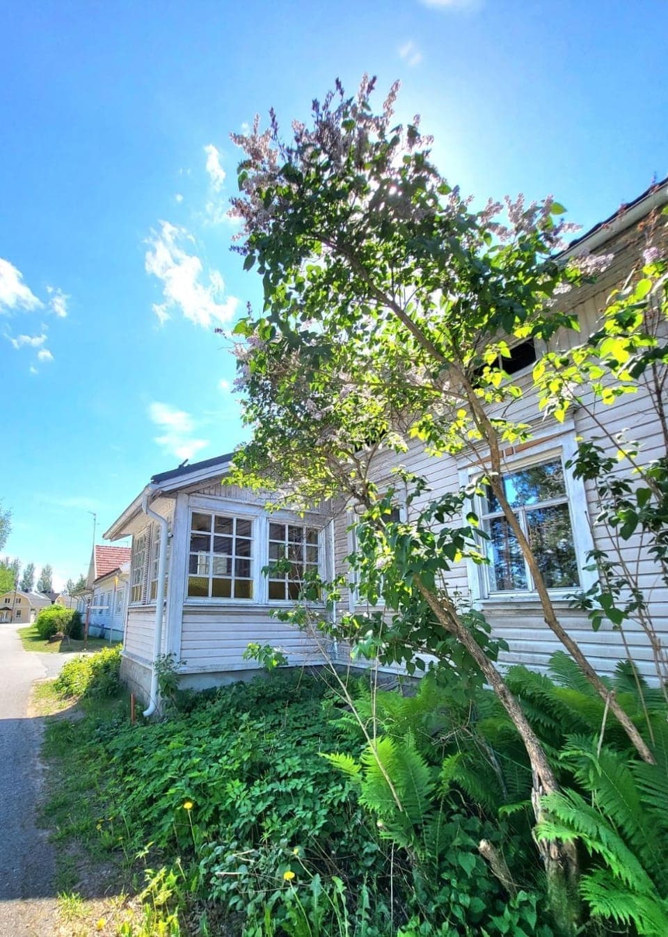 Property building, Day