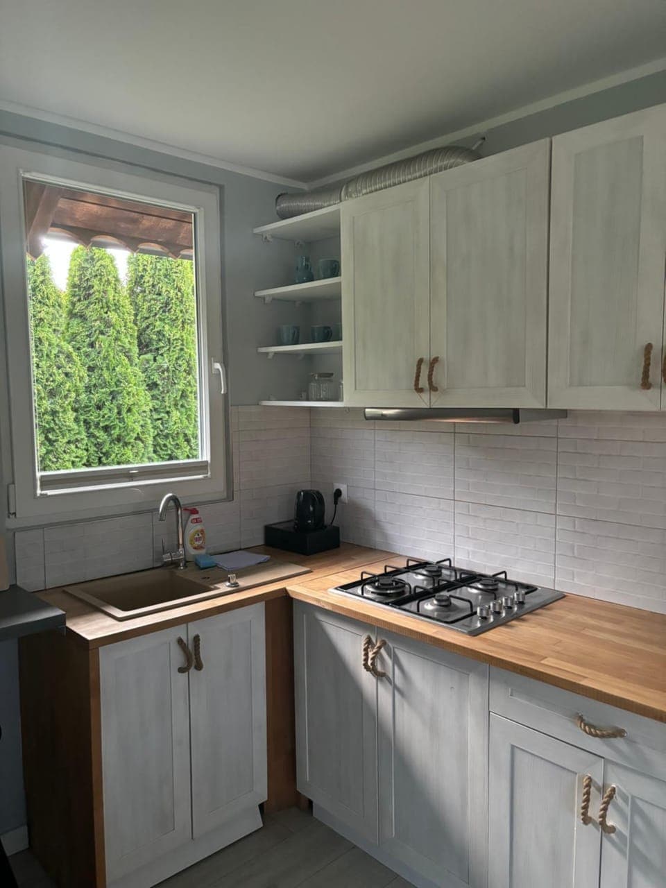 Kitchen or kitchenette, minibar, pet friendly, stove