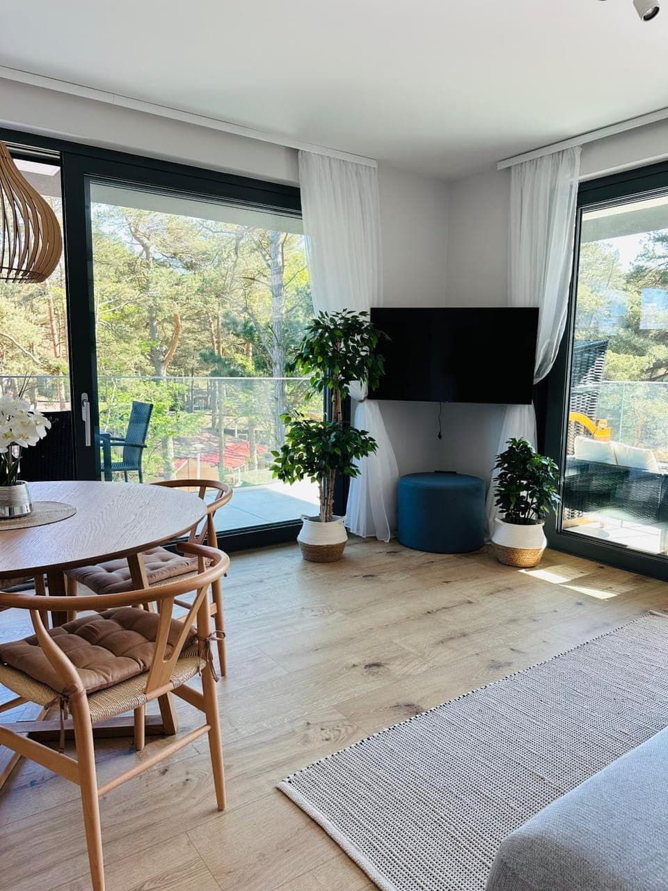 TV and multimedia, Living room