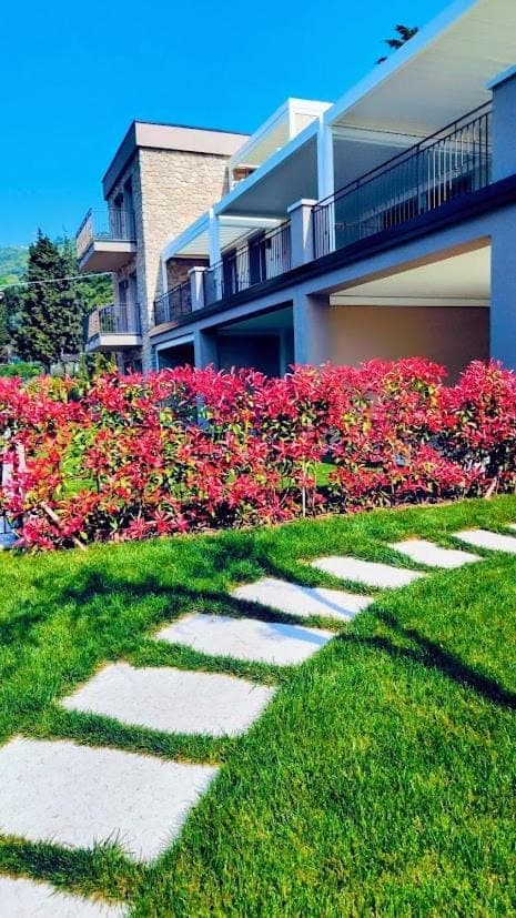 Property building, Spring, Day, Garden