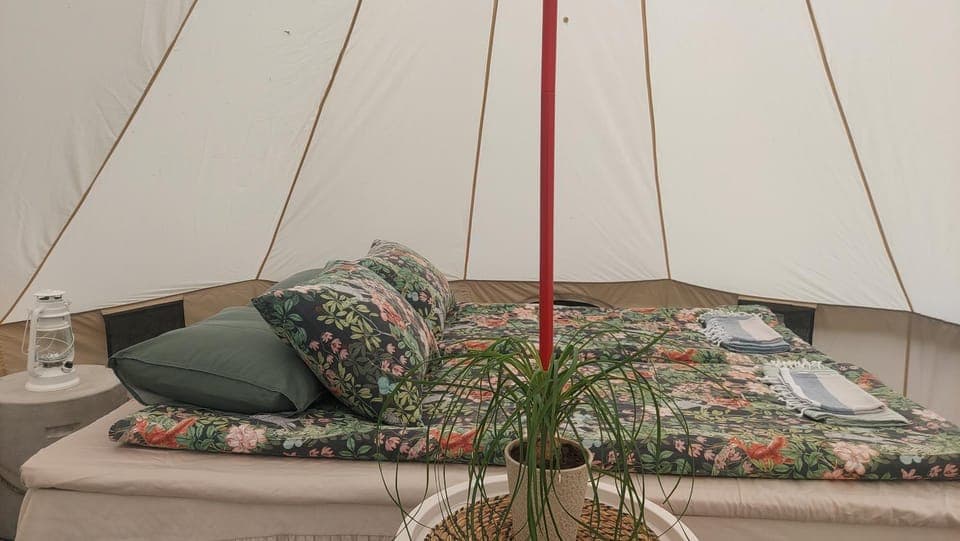 Bed, Photo of the whole room