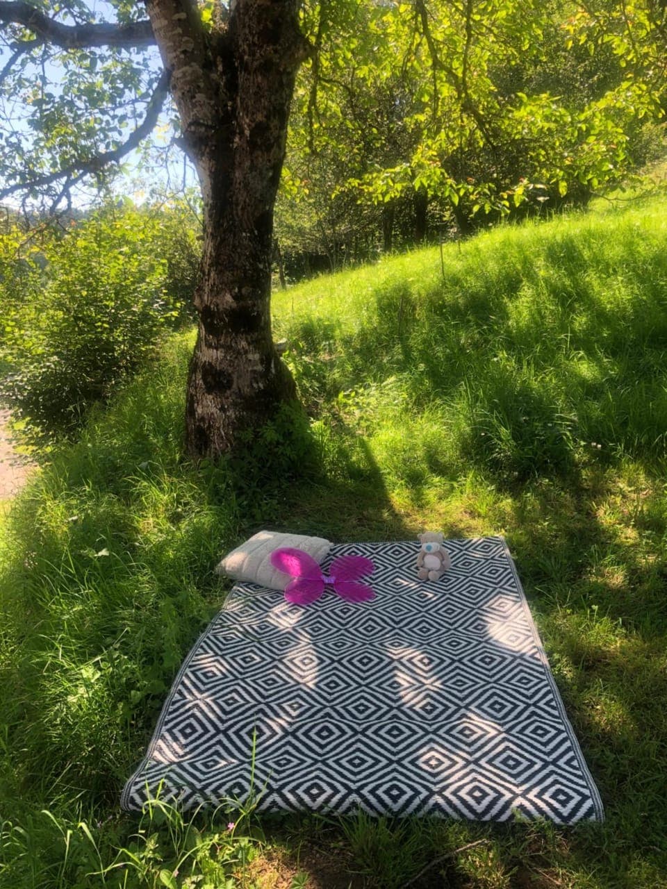 Garden, View (from property/room)