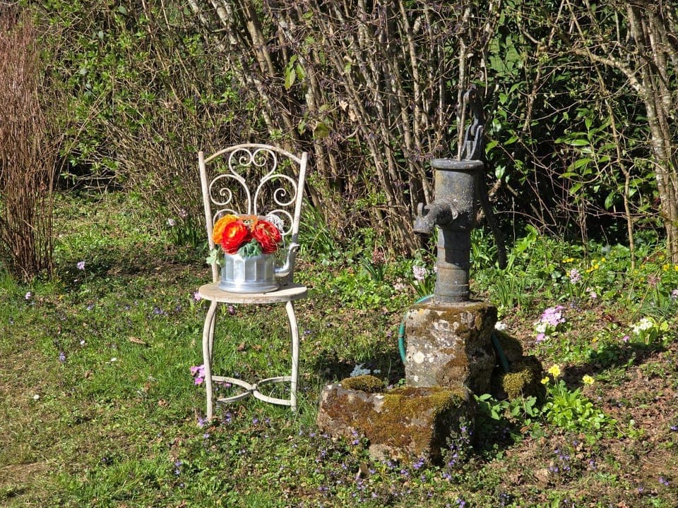 Spring, Day, Garden, Garden view