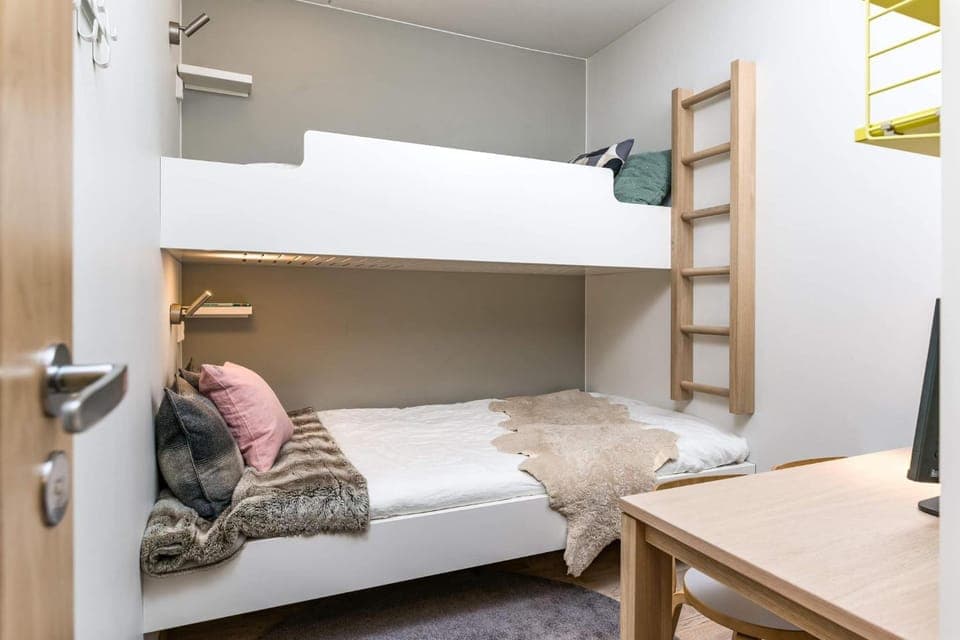 Bed, Photo of the whole room, Bedroom, bunk bed