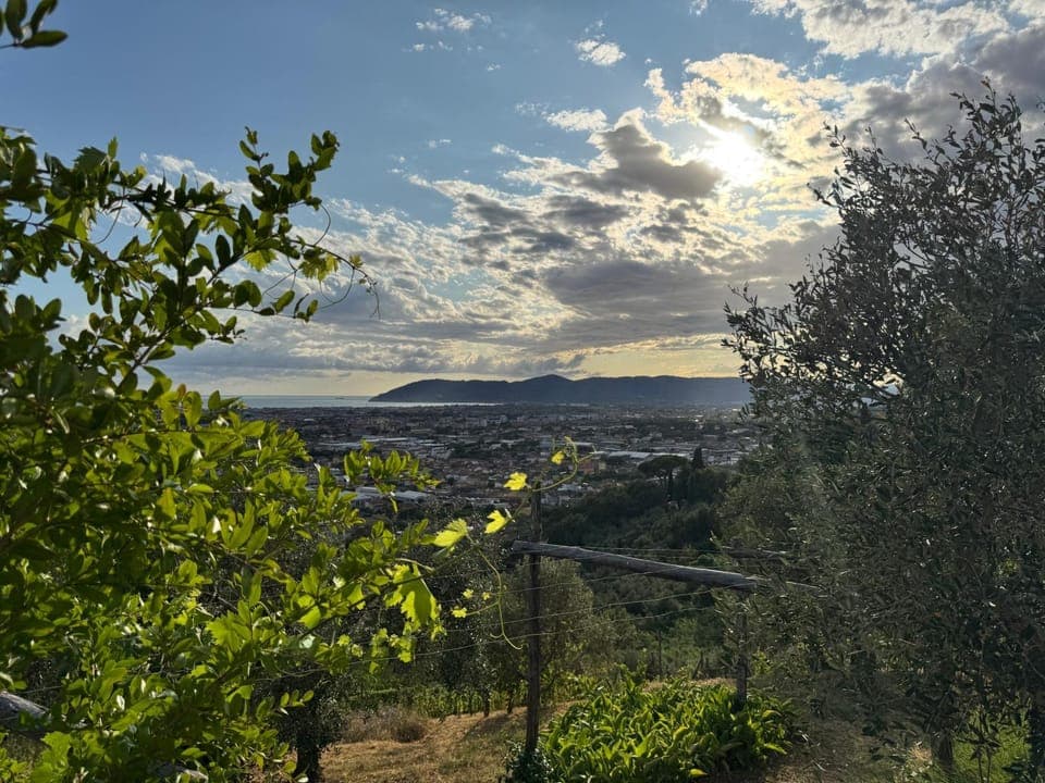 Spring, Day, Natural landscape, Bird's eye view, Summer, BBQ facilities, View (from property/room), Autumn, City view, Garden view, Mountain view, Sea view, Street view, Seasons, Time of day, Sunset, Quiet street view, pet friendly, sunbed