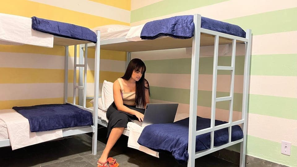 Bed, People, Photo of the whole room, Bedroom, bunk bed