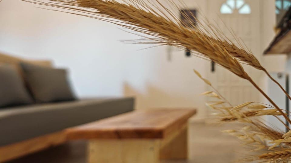 Living room, Decorative detail, Seating area