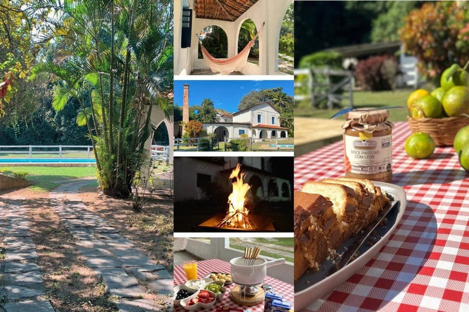 Day, Garden, Food and drinks, Food, Garden view