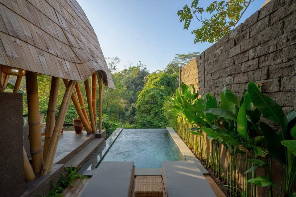 Garden view, Swimming pool